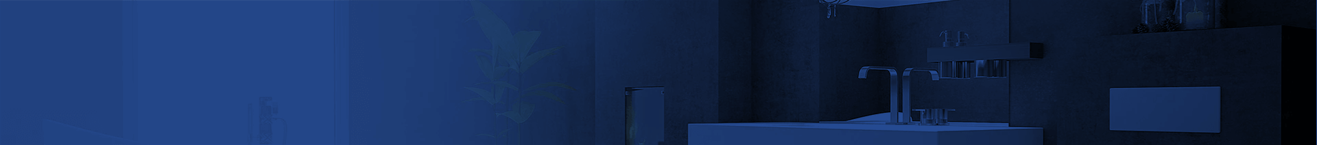 promo-banner-image
